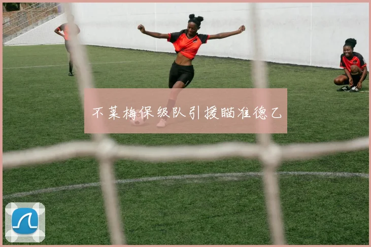 不莱梅保级队引援瞄准德乙